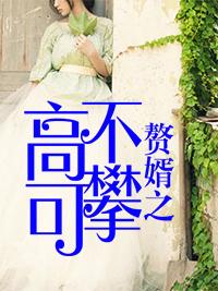 赘婿之高不可攀叶辰