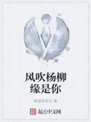 歌词风吹杨柳的歌名叫什么