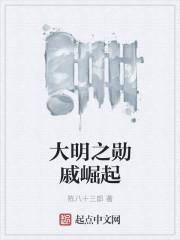 大明之勋戚崛起 陈八十三郎